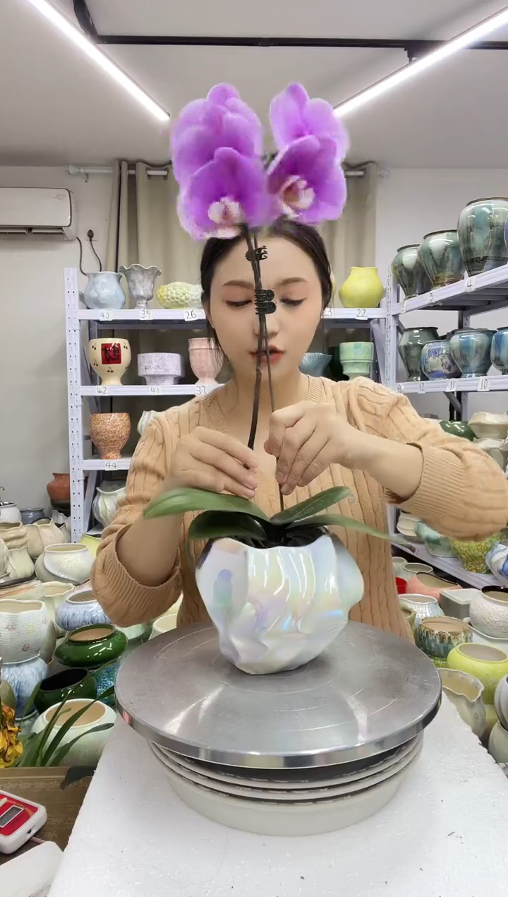 【12.31】花盆链接高：12  口：10