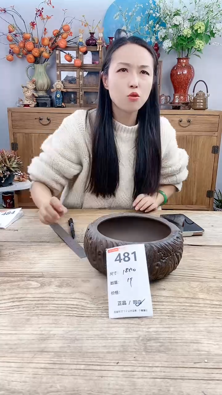 【闪购商品】红陶481