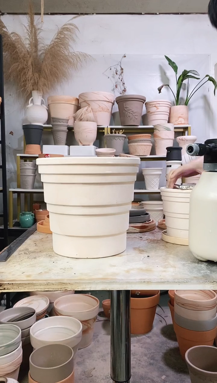 25*23白色竹节 1盆无托