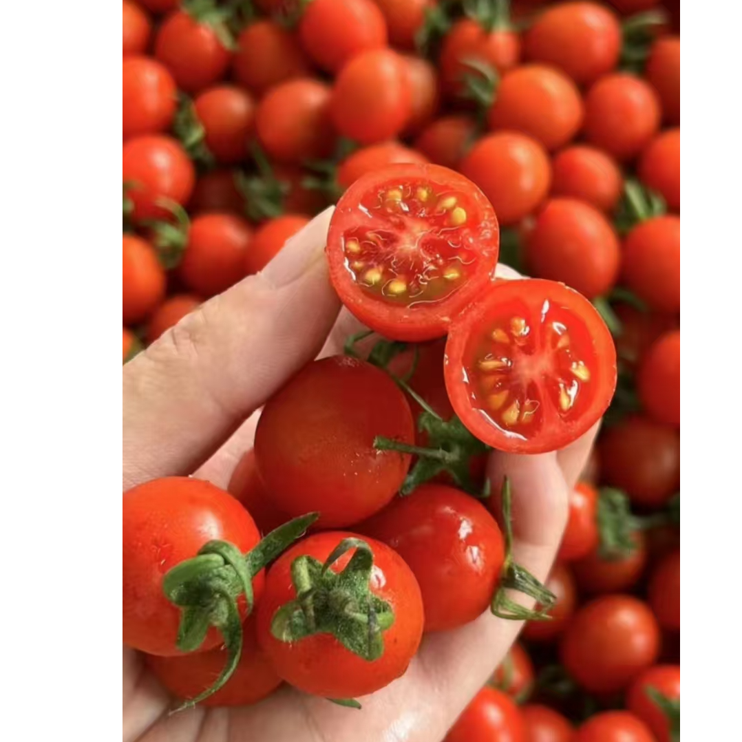 【大董】釜山88玲珑千禧（规格可选）G千禧圣女果千禧圣女果