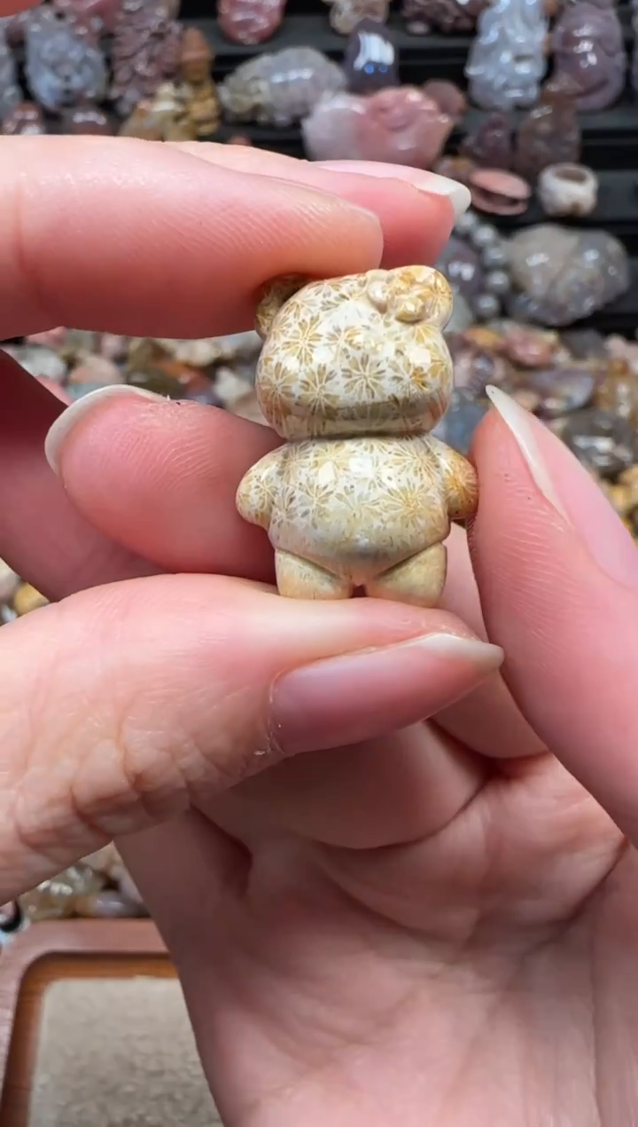 颈饰未镶嵌硅化珊瑚（珊瑚玉）312