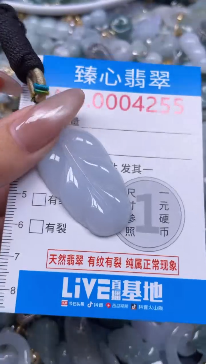 颈饰未镶嵌翡翠4255