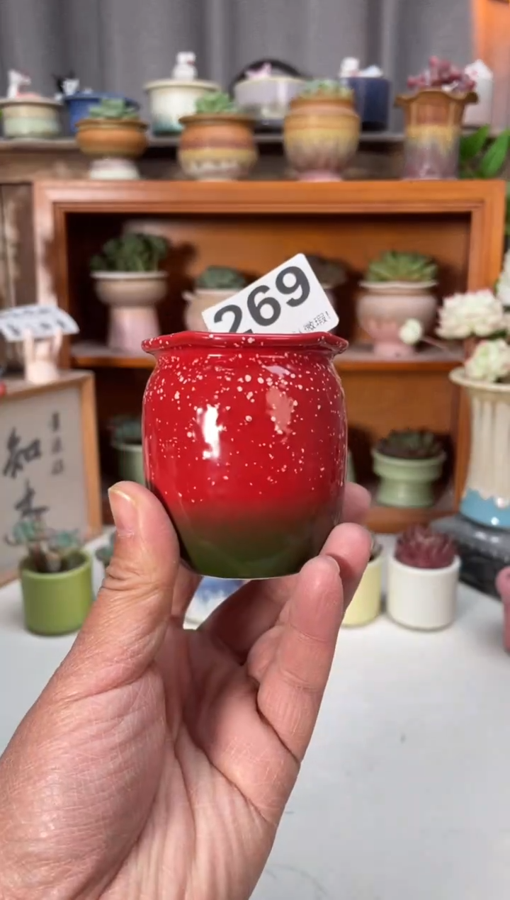 瓷片269小芳直播编号