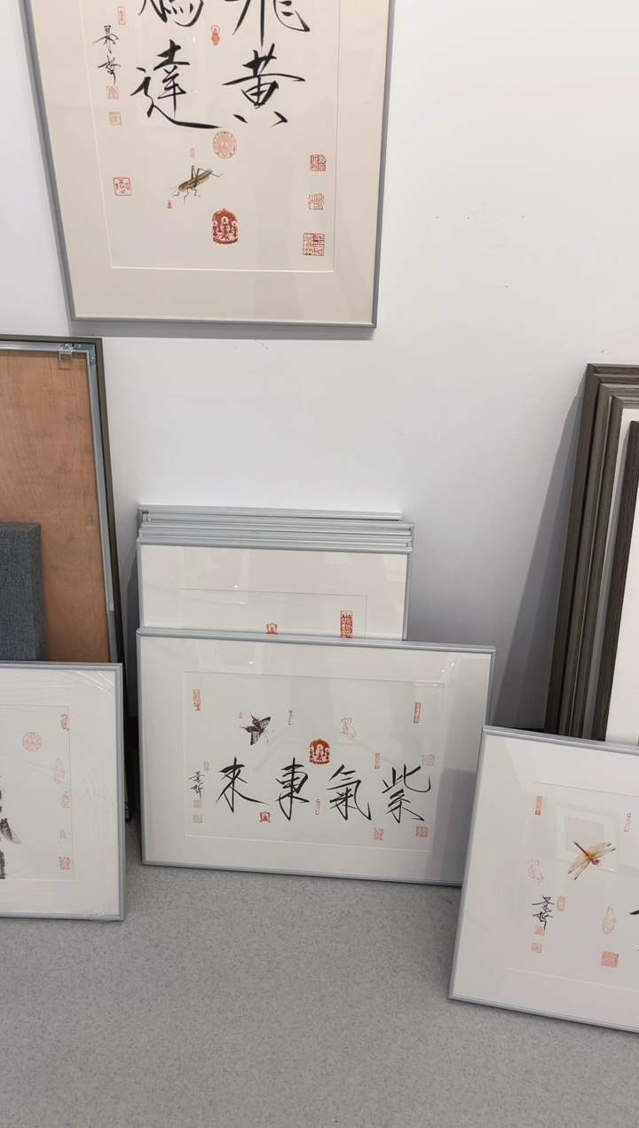 【闪购商品】书法书法--草虫---带框---