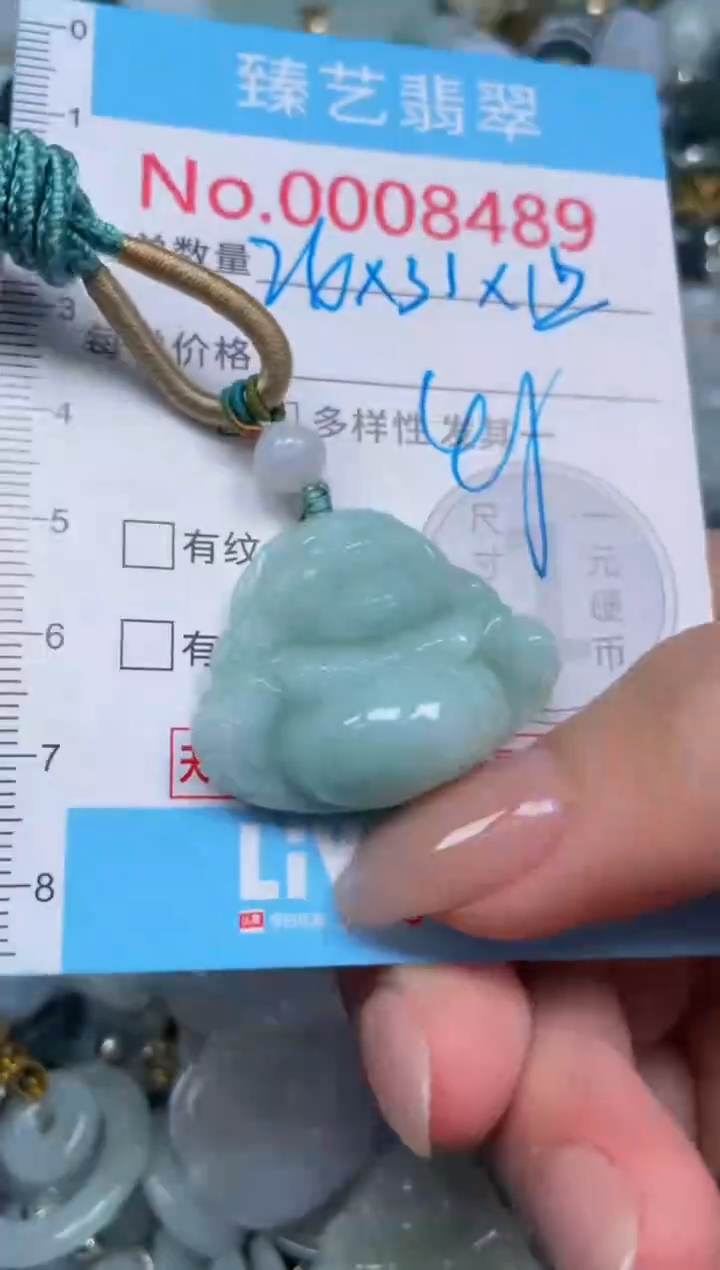 颈饰未镶嵌翡翠8489