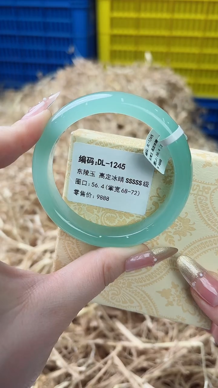 未镶嵌手镯石英质玉DL-1245