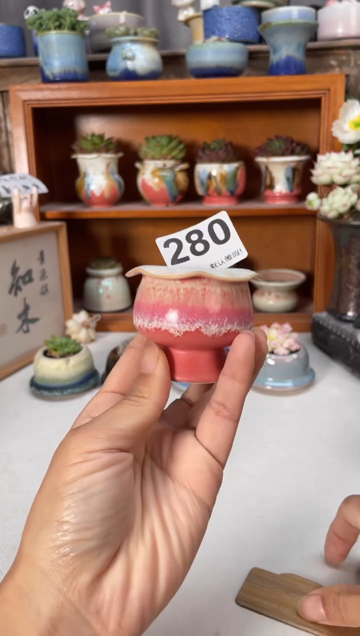 瓷片280小芳直播编号