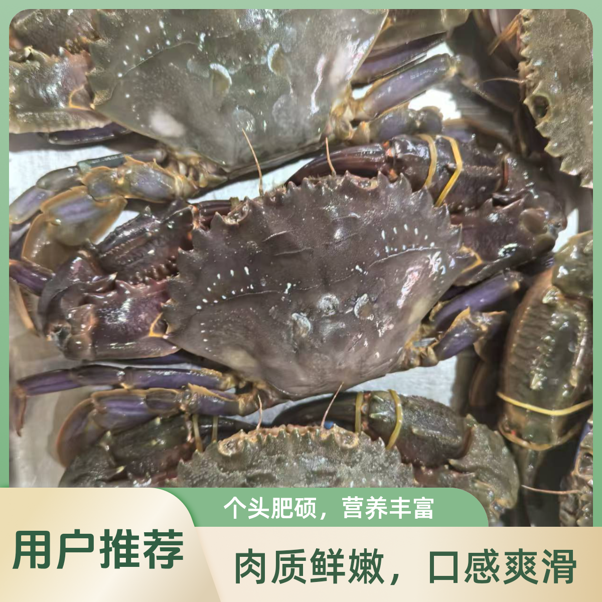 【保鲜不保活】大铜蟹一斤3~4只 一只3两左右 部分断臂介意勿拍