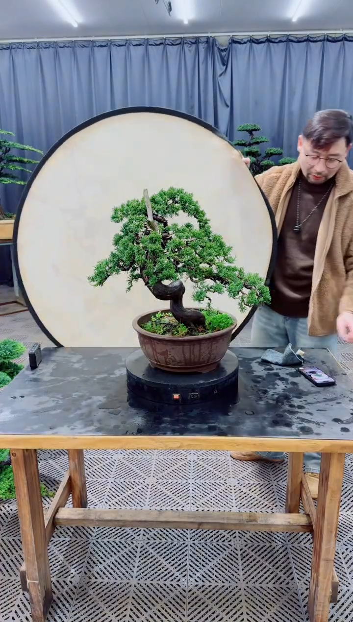 无花朵沸**冰盆景.....