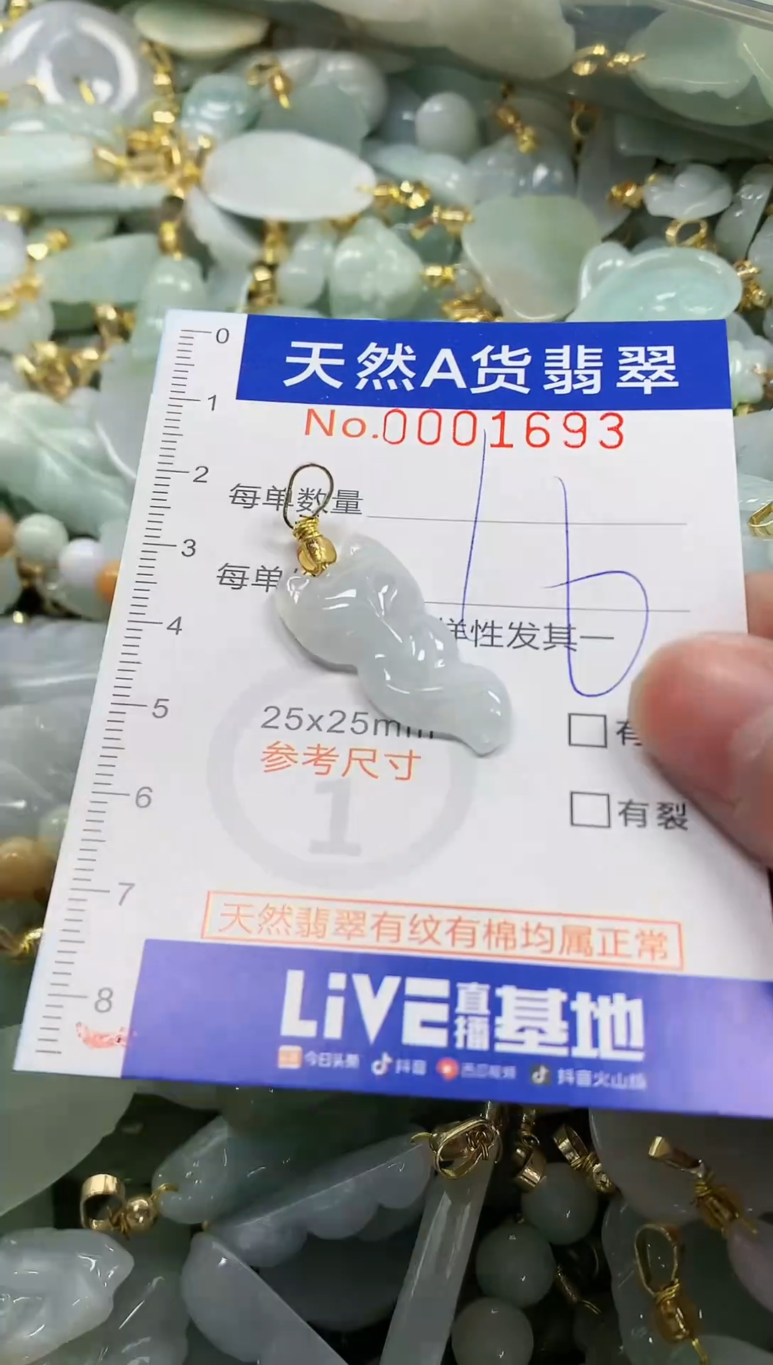 颈饰未镶嵌翡翠纯天然a货翡翠