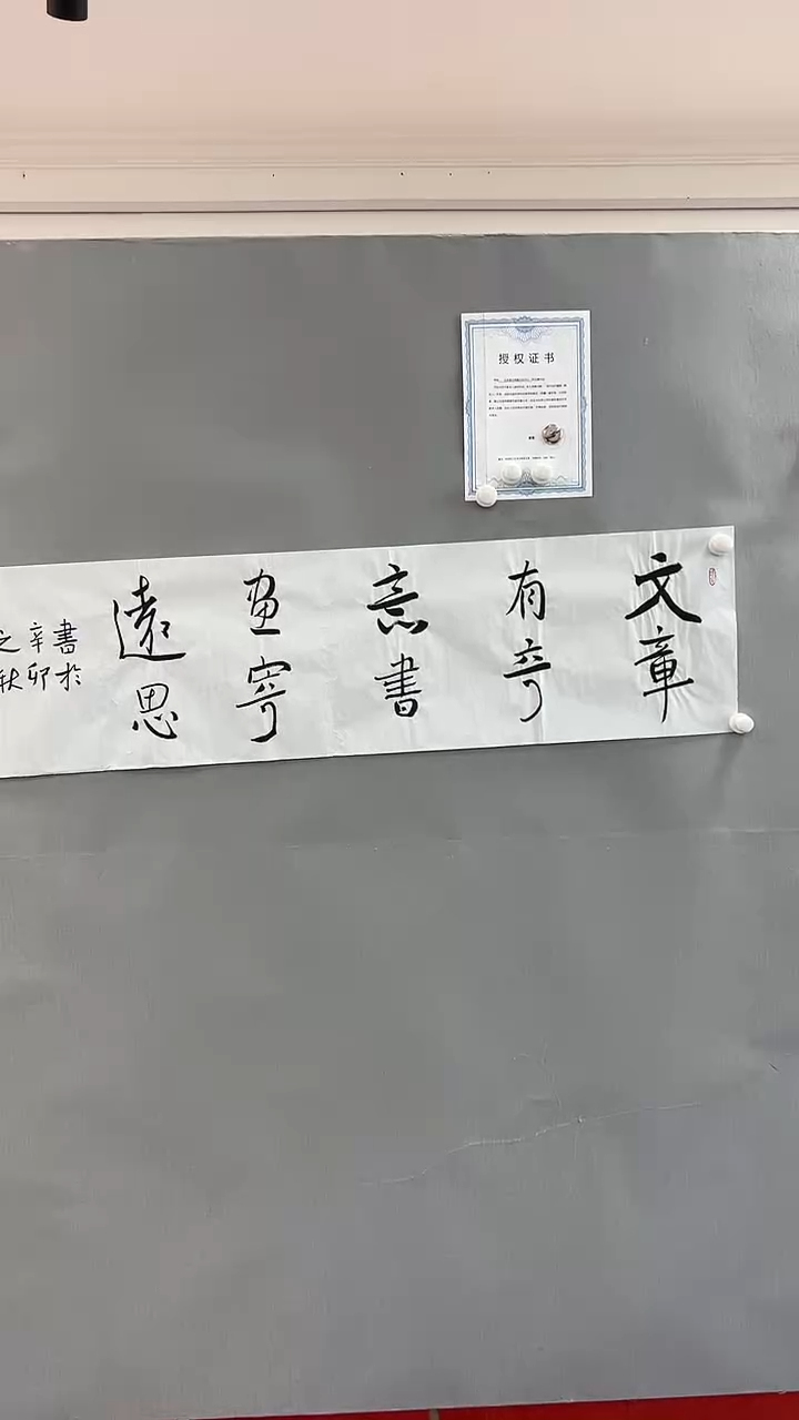 【闪购商品】书法雅艺典藏文化书法