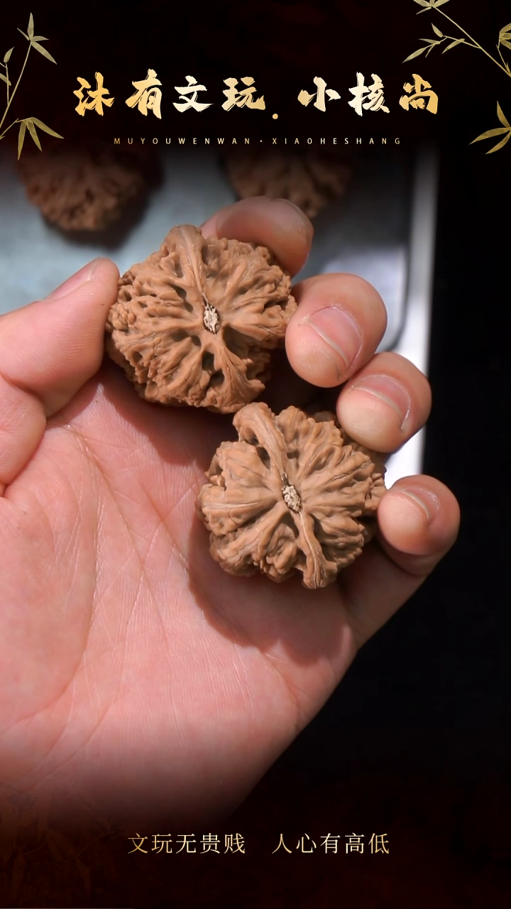 把件文玩核桃40大粗筋