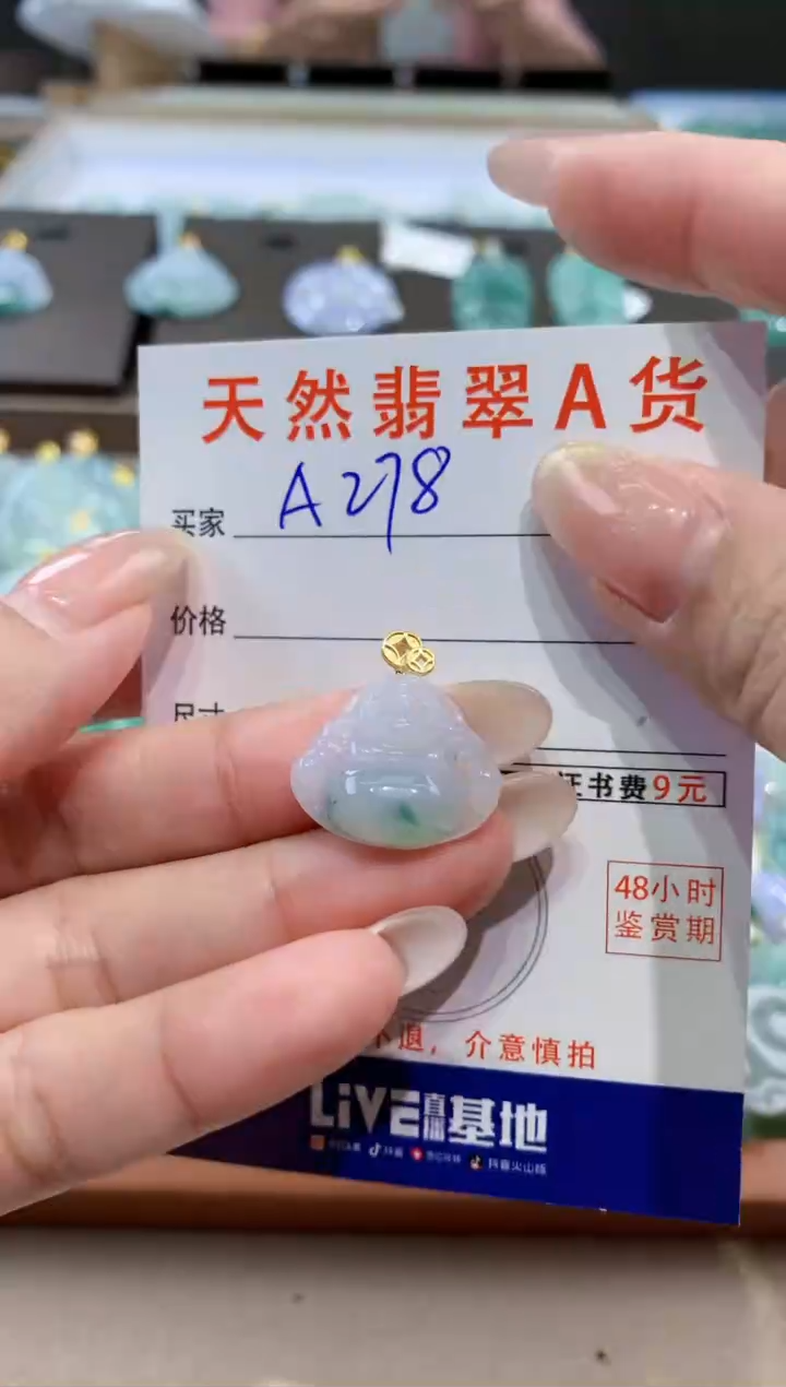 颈饰未镶嵌翡翠天然缅甸翡翠A货挂件 