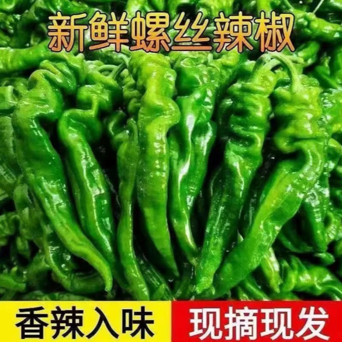 【汇峰农场】纸皮螺丝椒2斤装（±2两）京东顺丰随机包邮辣椒