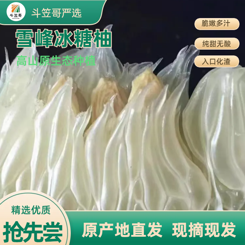 湖南怀化优质安江冰糖柚青柚孕妇新鲜水果金兰柚高山老树柚子香甜