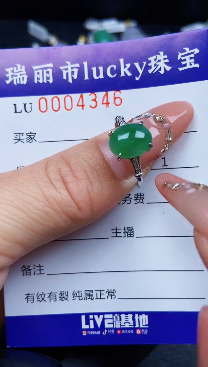 翡翠银S925镶嵌颈饰4346