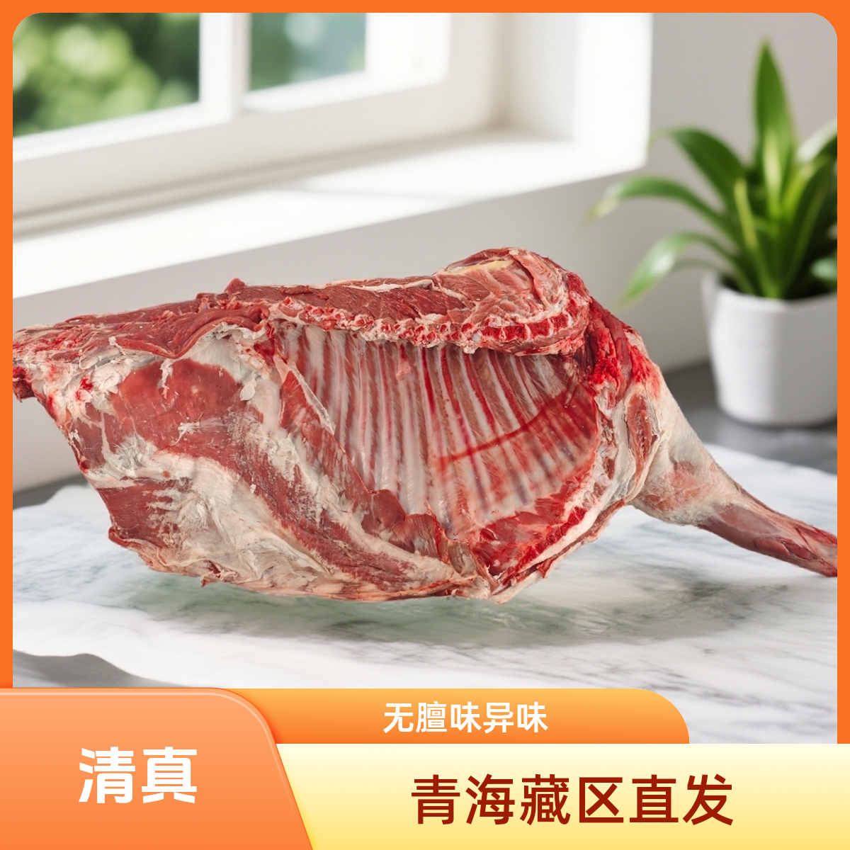 青海藏羊肉直播间现称链接（勿拍）