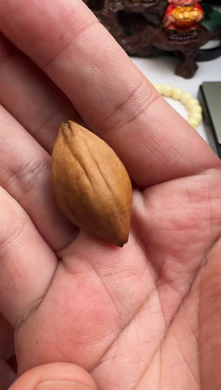 把件橄榄核Y****)橄榄核