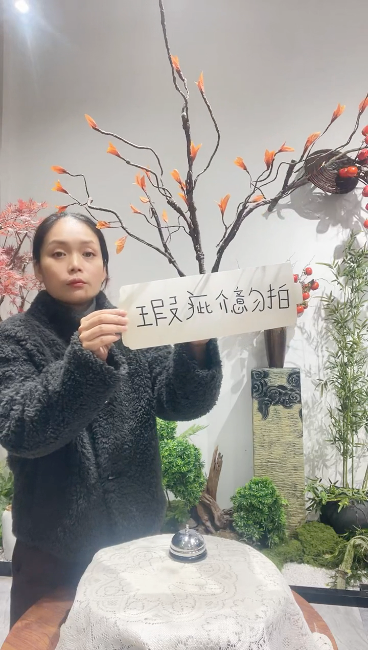 （微瑕品处理接勿拍）仿真秋色塑形枝条2+1 垂直高约50cm新老款随机