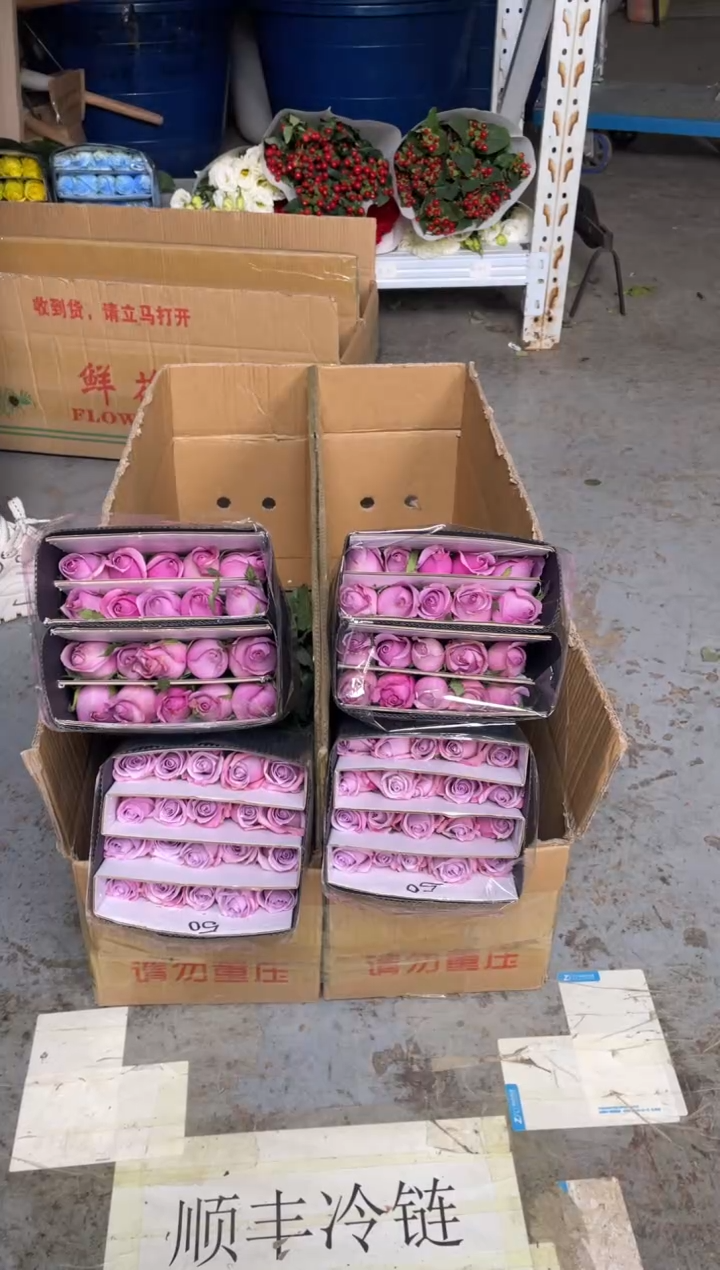 海洋之歌20枝+紫霞20枝