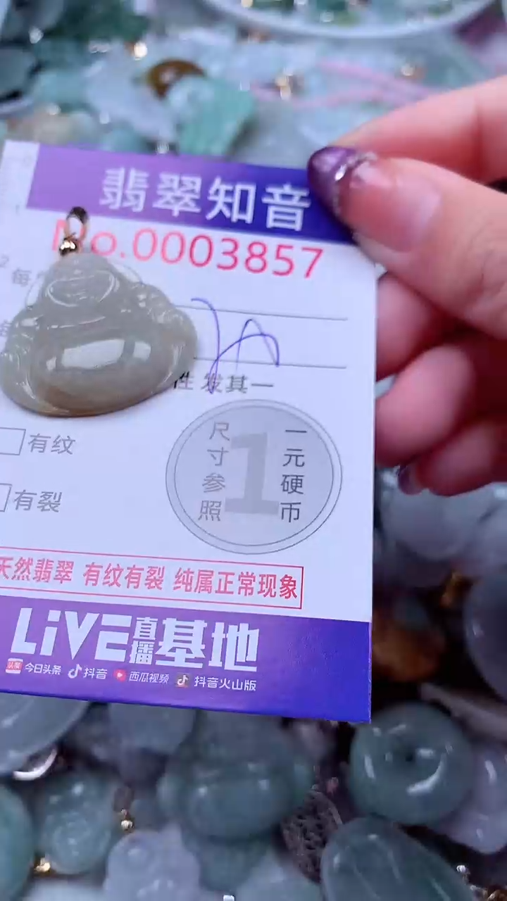 翡翠未镶嵌吊坠(不含链)3857