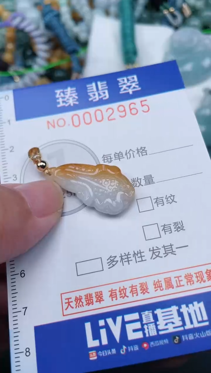 翡翠未镶嵌颈饰.0002965