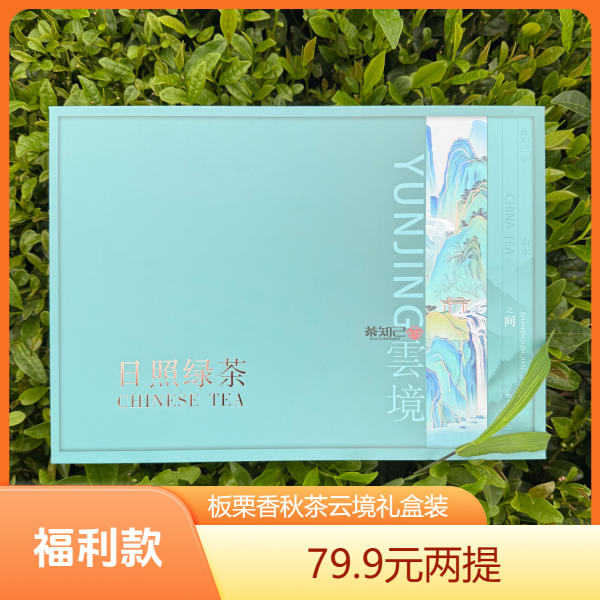 日照绿茶秋茶云境半斤礼盒装两提十提