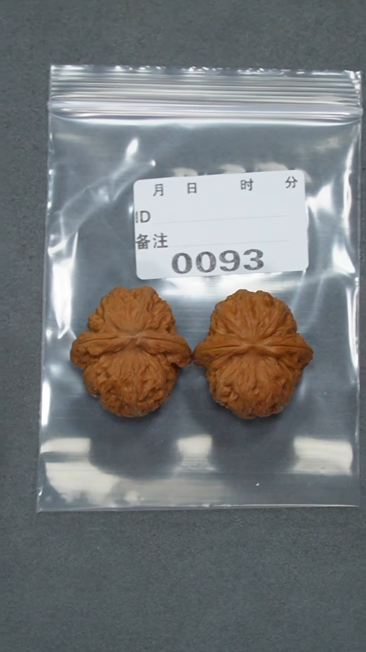 【闪购商品】文玩核桃把件36元宝