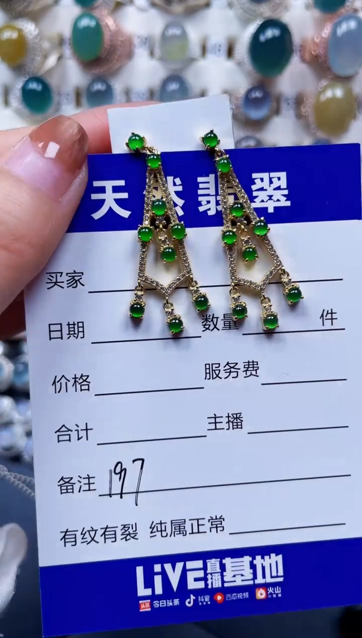 银S925镶嵌翡翠耳饰197