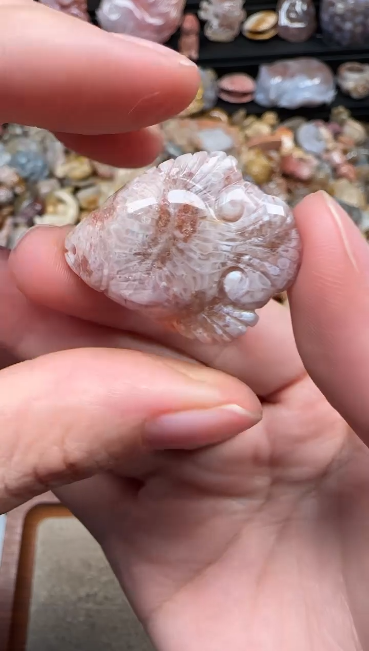 颈饰未镶嵌硅化珊瑚（珊瑚玉）237