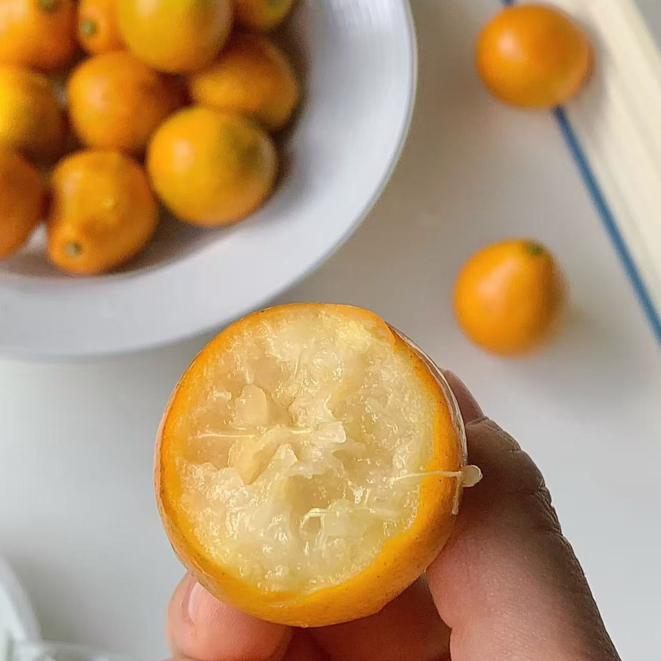 【脆蜜小金柑】 嘎嘎甜 小型洗肺机 秋冬季太需要啦云南省