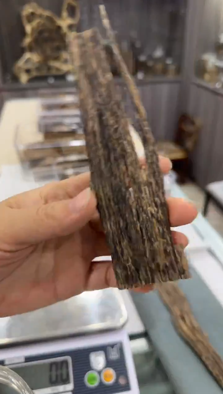 香料19-海南霸王岭树芯油料12.3克