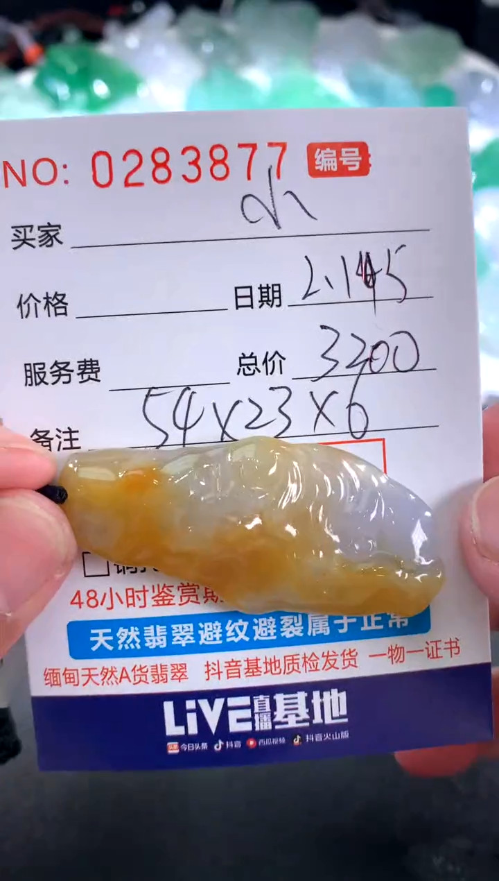 【闪购商品】翡翠颈饰未镶嵌 小