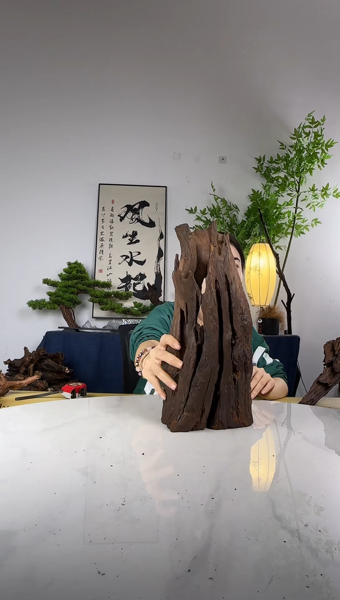 海**宝拍这个定向编号118