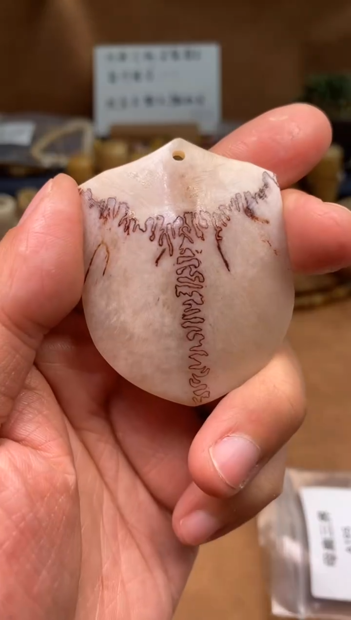 【闪购商品】鹿骨其他母鹿三界A195