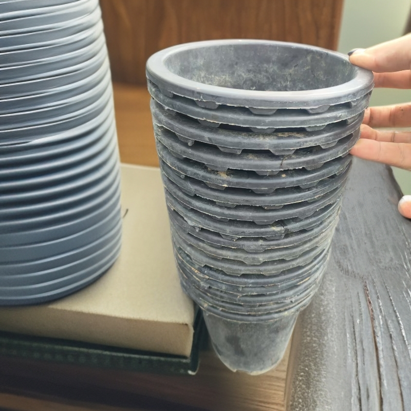 多肉盆  熊猫多肉 （满19包邮） 庭院红色盆栽好养易活