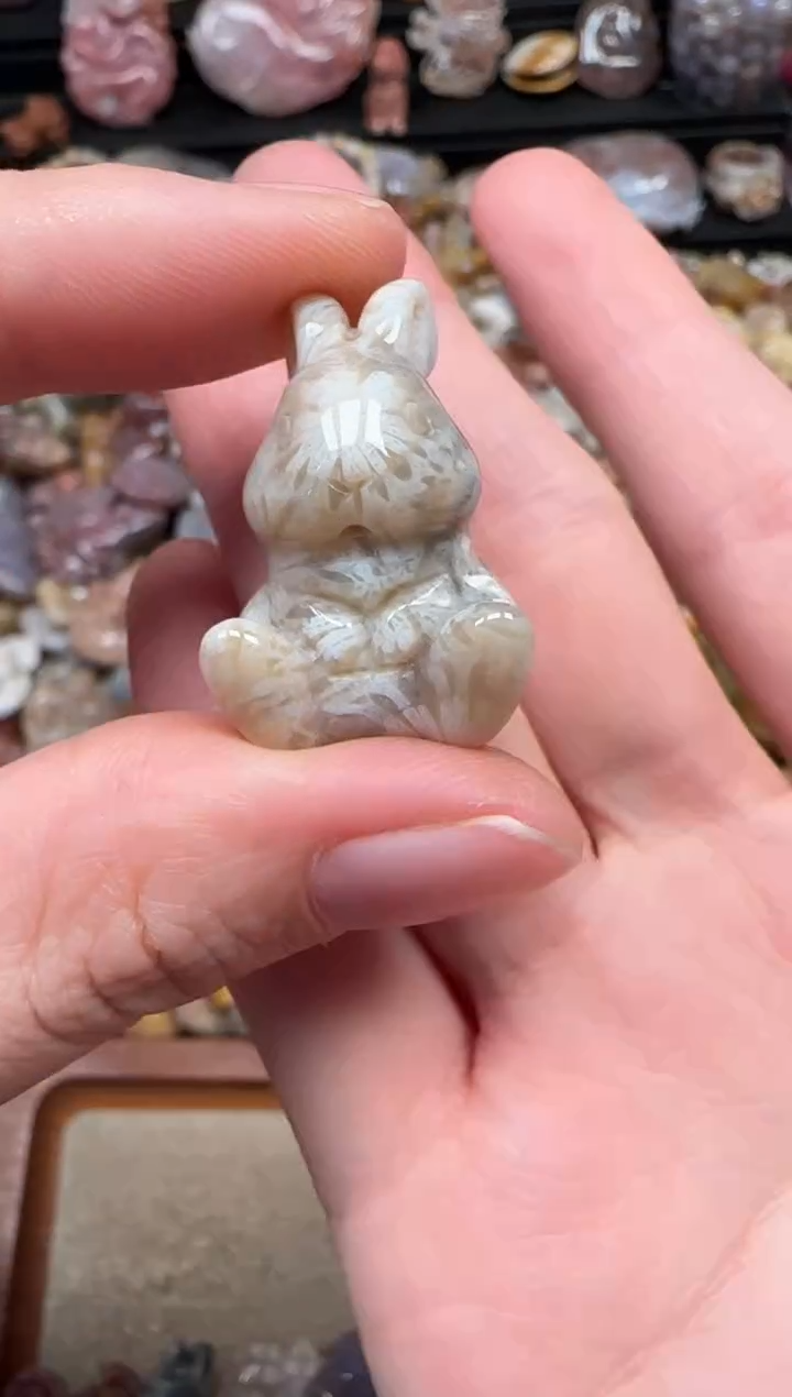 颈饰未镶嵌硅化珊瑚（珊瑚玉）604