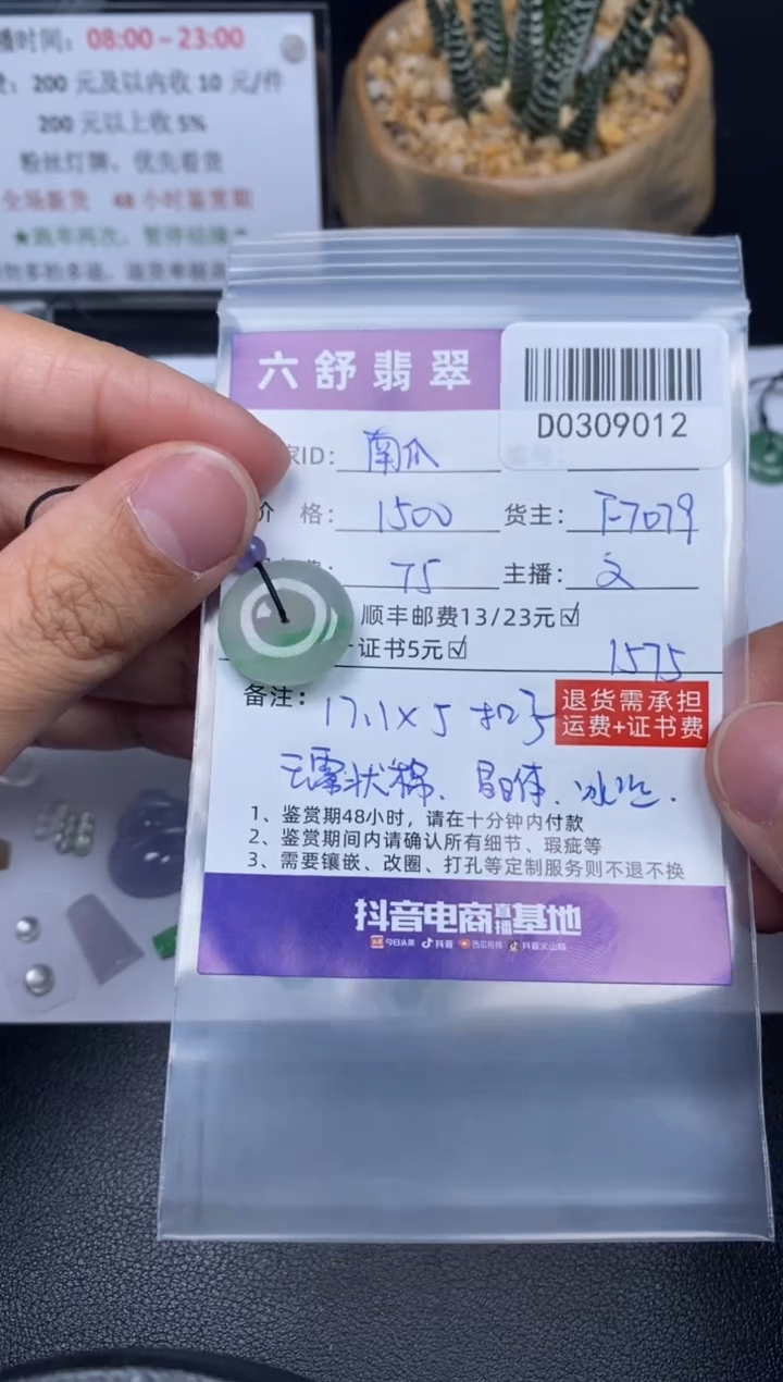 【闪购商品】翡翠吊坠(不含链)未镶嵌D0309012