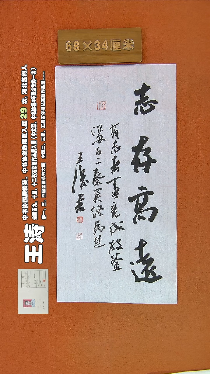 【闪购商品】书法239王涛书法作品