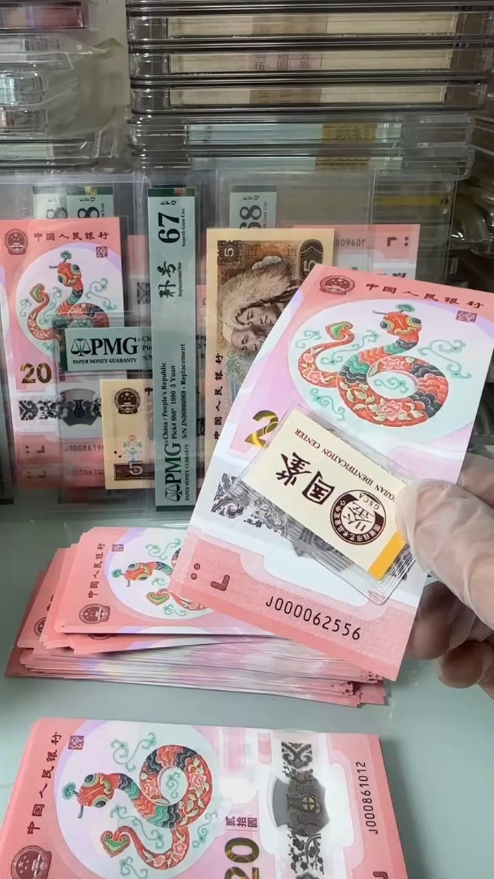 【闪购商品】塑料000062556-蛇钞单张！