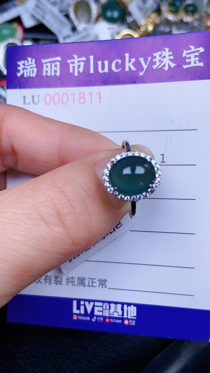 颈饰银S925镶嵌翡翠1811