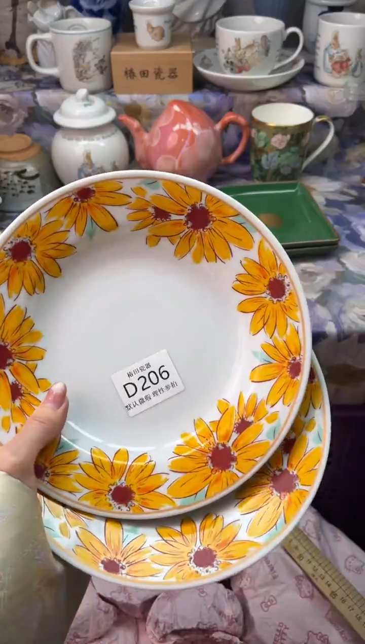 瓷片C**l瓷片瓷片          D 206