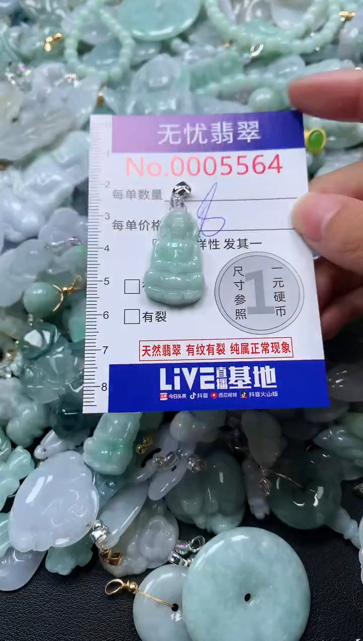 颈饰未镶嵌翡翠5564