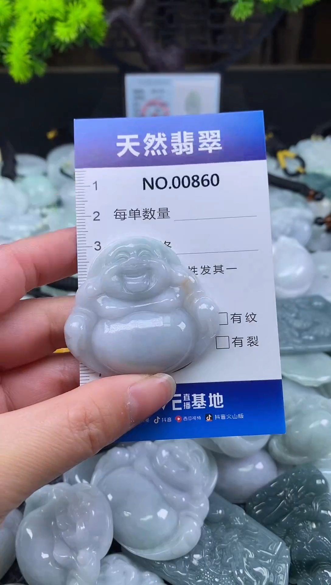 颈饰未镶嵌翡翠天然缅甸翡翠860