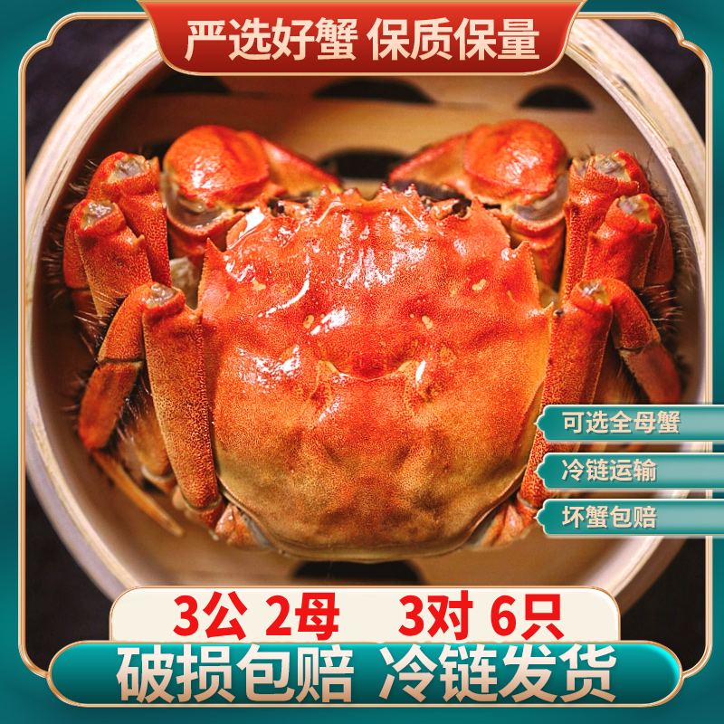 【活蟹】虾兵蟹将苏州大闸蟹3两公2两母 3对6只 鲜活湖蟹现货送礼S6