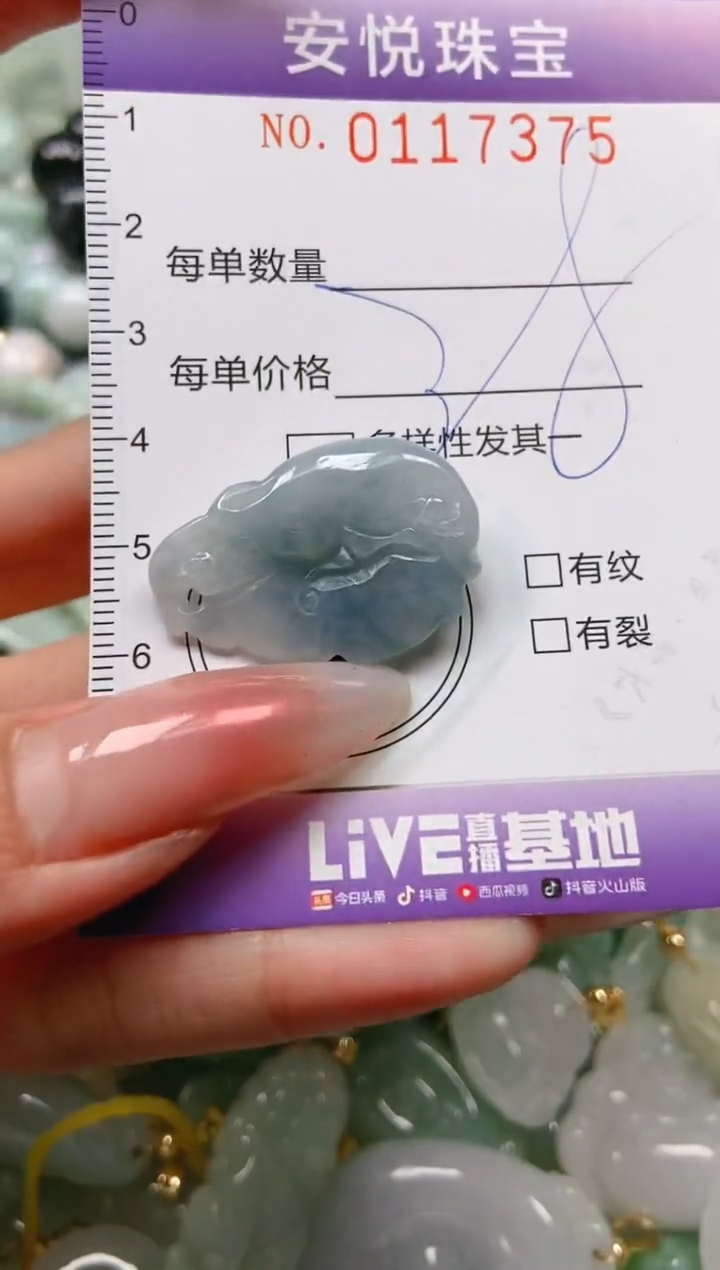 【闪购商品】翡翠颈饰未镶嵌闪购0117375