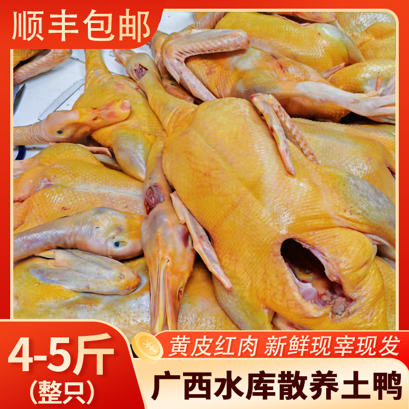 （顺丰包邮）广西农家山塘水库散养土鸭五谷杂粮喂养土鸭