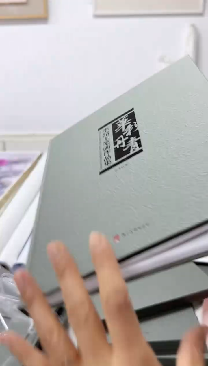 【闪购商品】纸本1炳山艺术--------李喆画册作品