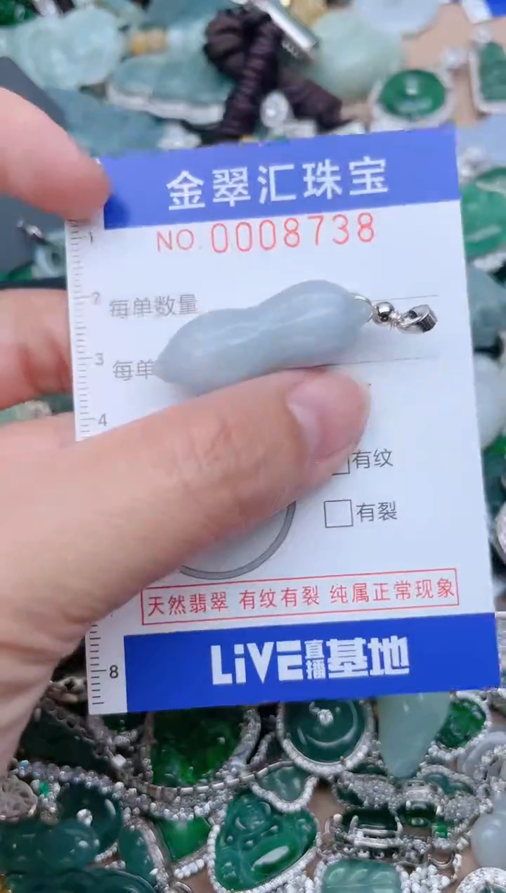 【闪购商品】翡翠颈饰未镶嵌8738...1