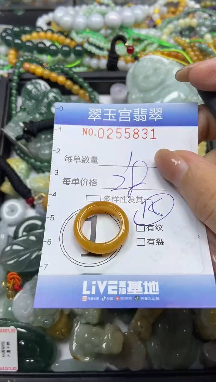 颈饰未镶嵌翡翠闪购C0255831